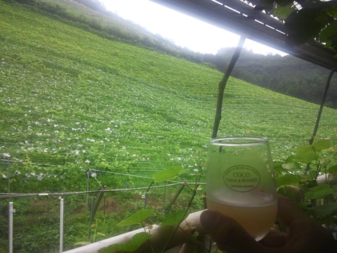 ここ08