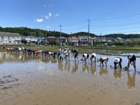 351836984_701245141763119_4378877146141841441_n