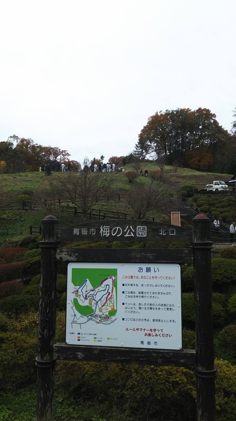 あぶらむし03