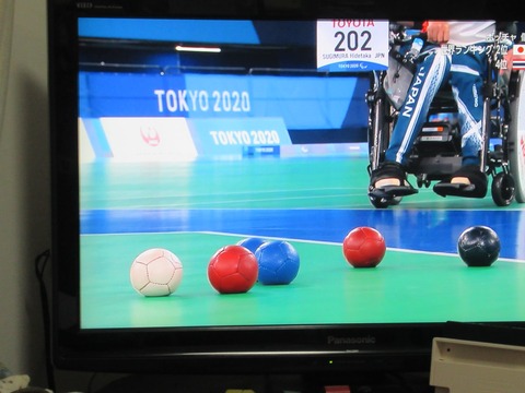 241212690_4326371880776732_2609356815099342993_n