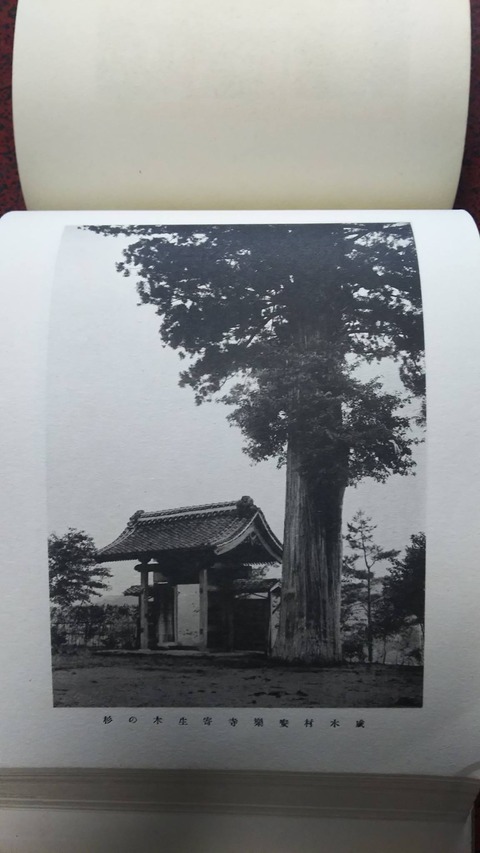 gundari04