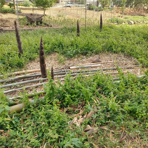 343751171_1598533450651451_1277979438669837893_n