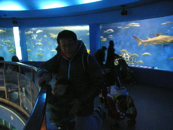 RIMG2011