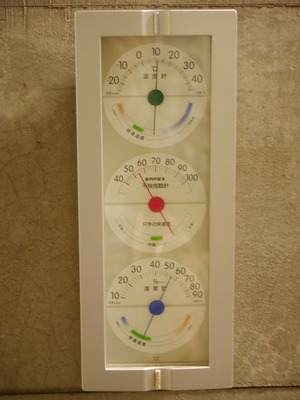 P1010395