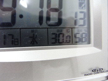RIMG2229