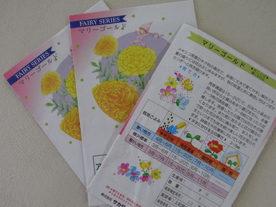 RIMG2423