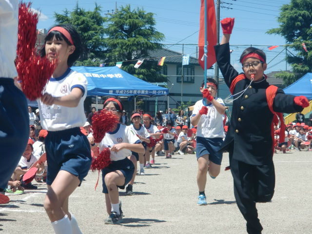 5月日 日 運動会 燃えろ 紅白応援合戦 太田っ子ブログ 5月日 日 運動会 燃えろ 紅白応援合戦 太田っ子ブログ