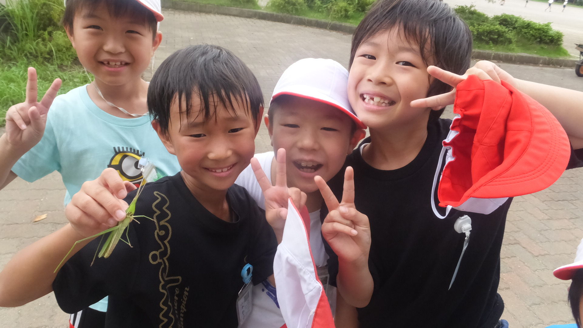 9月11日 水 ショウリョウバッタを捕まえた 太田っ子ブログ 9月11日 水 ショウリョウバッタを捕まえた 太田っ子ブログ