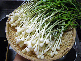 nobiru_IMGP1238