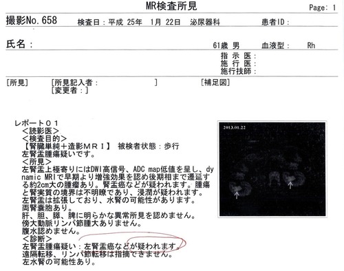 20130122MR�����긫