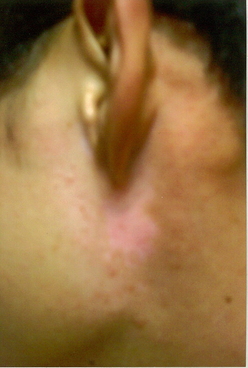 20121117