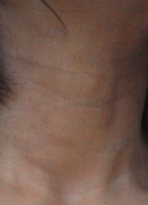 2015ǯ5·î27Æü¼ó