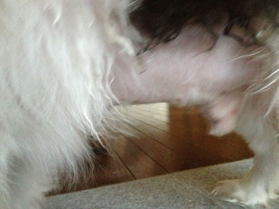 20121124ʢ��̿�-2
