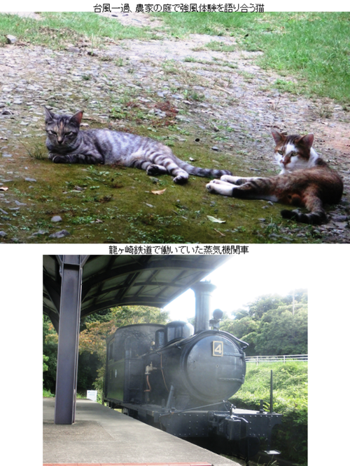 法螺と戯言 法螺と戯言