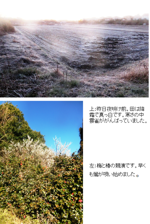 法螺と戯言