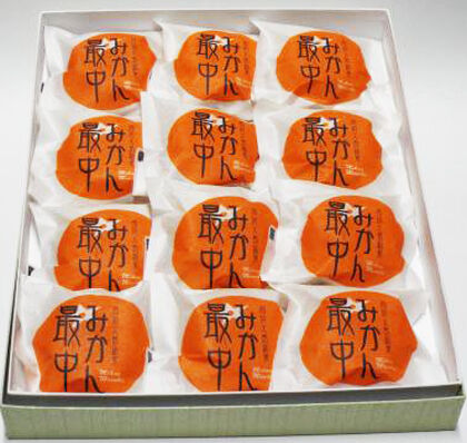 イガワ製菓の「みかん最中」 : 周防大島商タイム