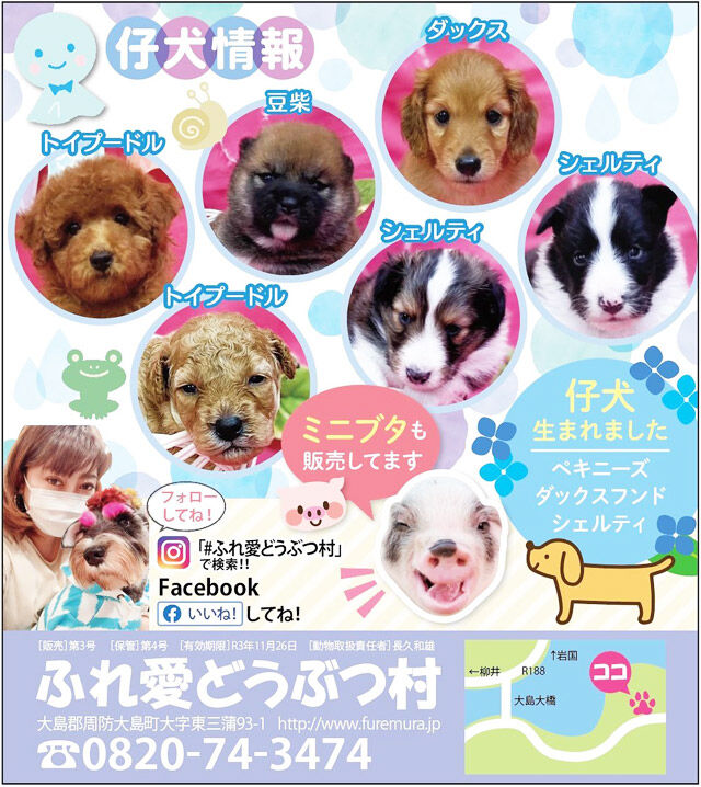 ふれ愛どうぶつ村に かわいい子犬が産まれました 周防大島商タイム