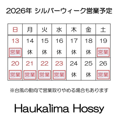 エントリ画像