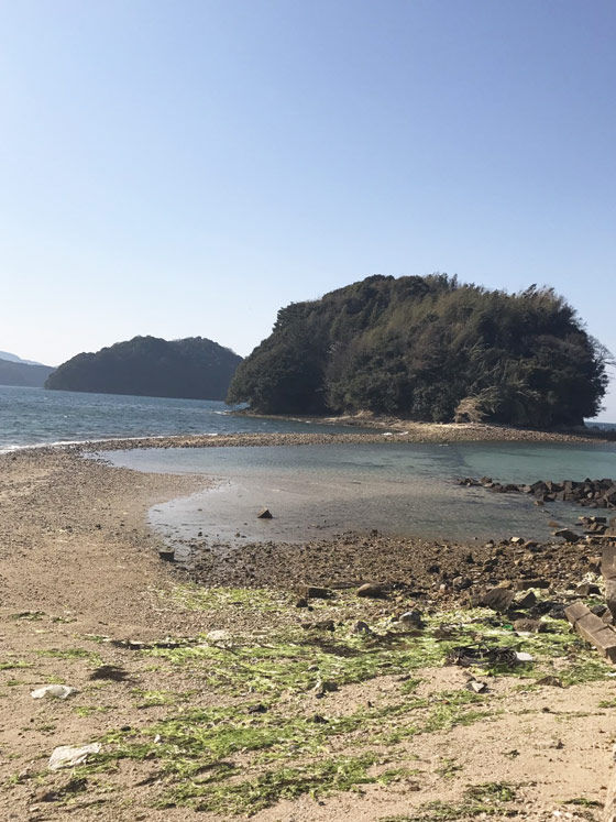瀬戸内海の神秘 真宮島 周防大島商タイム 瀬戸内海の神秘 真宮島 周防大島商タイム