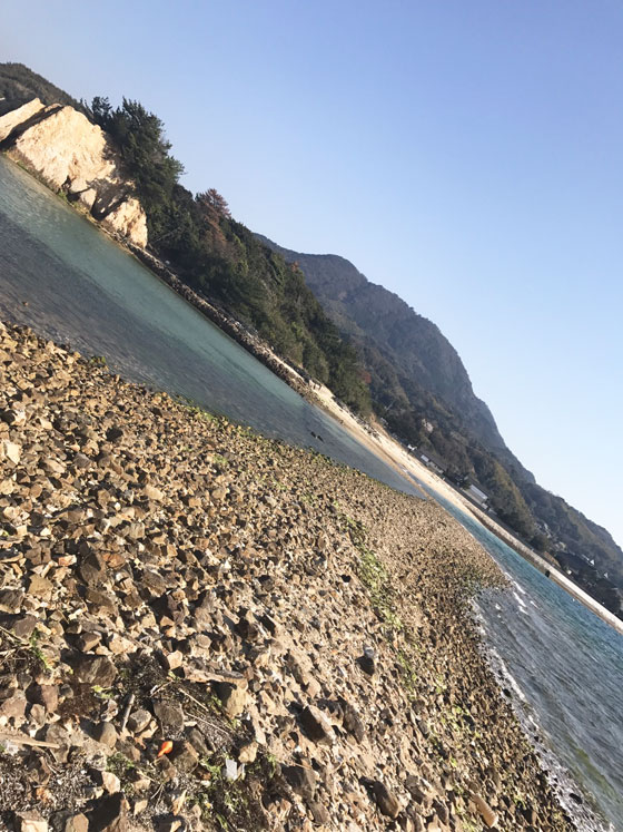 瀬戸内海の神秘 真宮島 周防大島商タイム 瀬戸内海の神秘 真宮島 周防大島商タイム