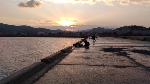 IMG_20231128_071207