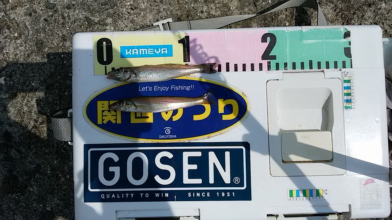 イメージ 4