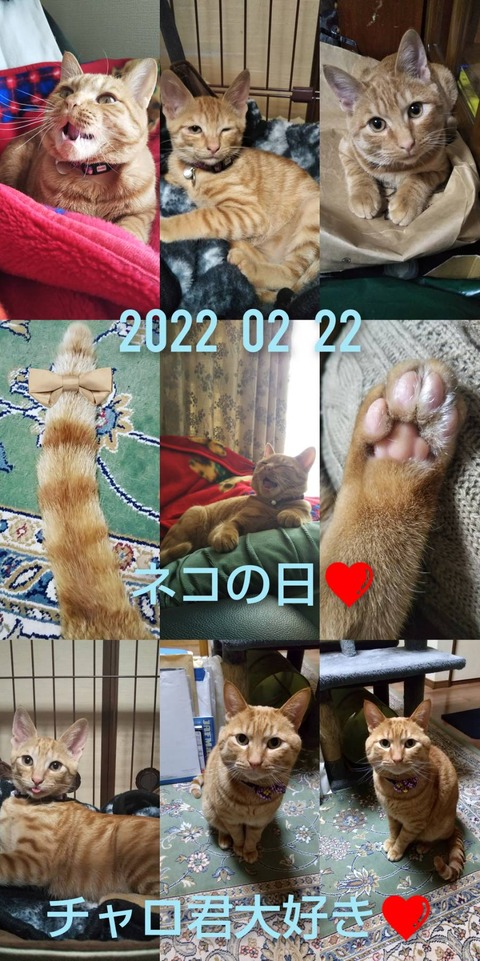 1645495146891