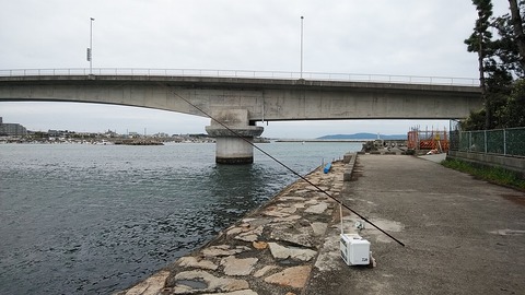 DSC_0575