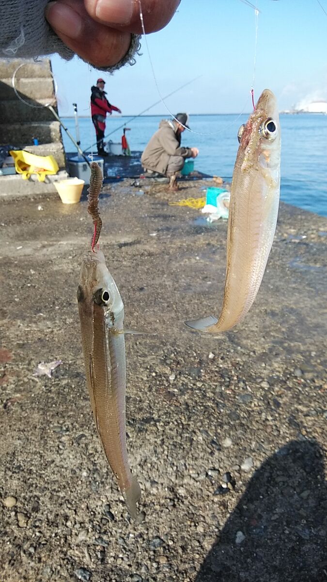 ｏｉｄｏｎ ｋｉｓｕ Oidonkisu