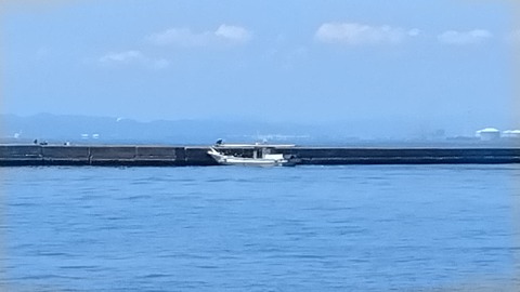 IMG_20230729_114654