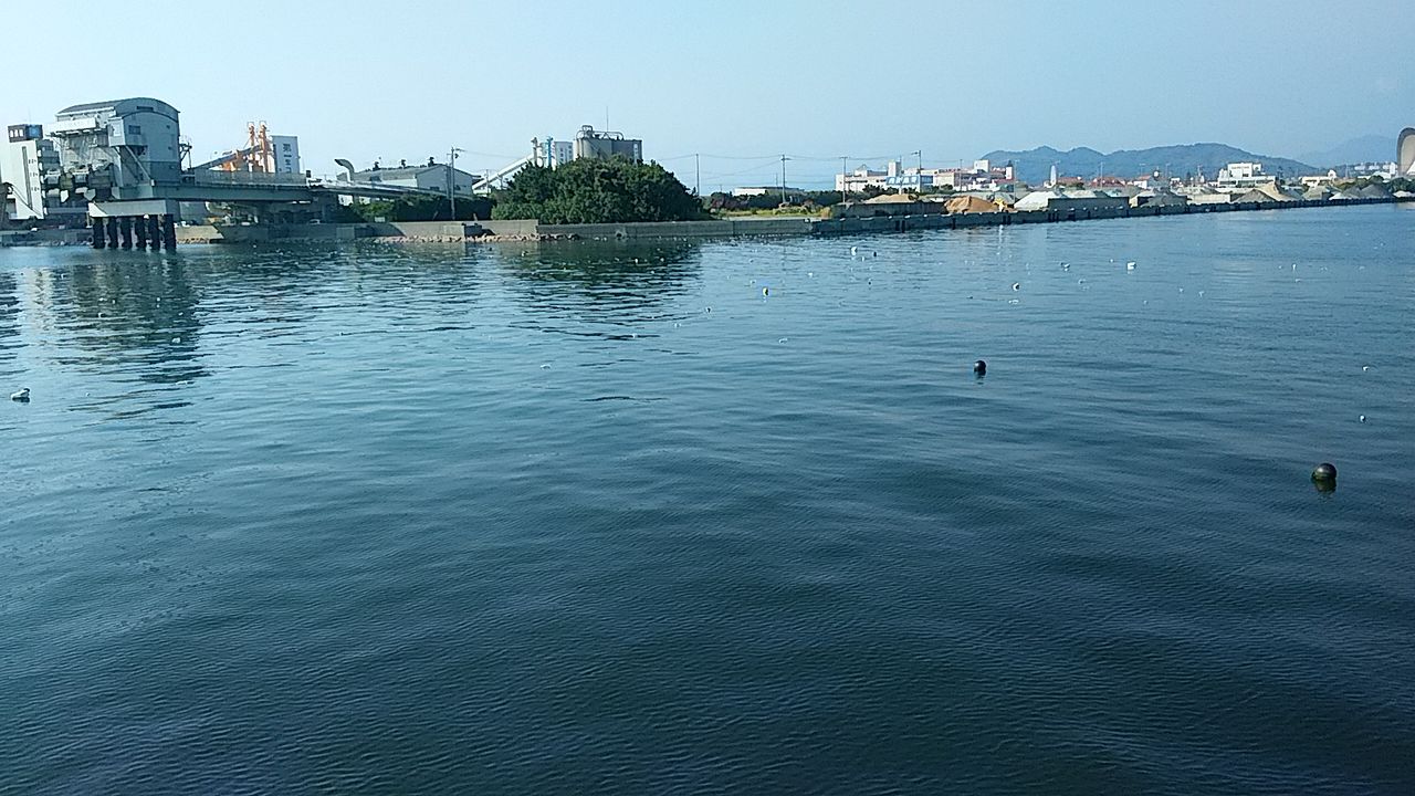 イメージ 5