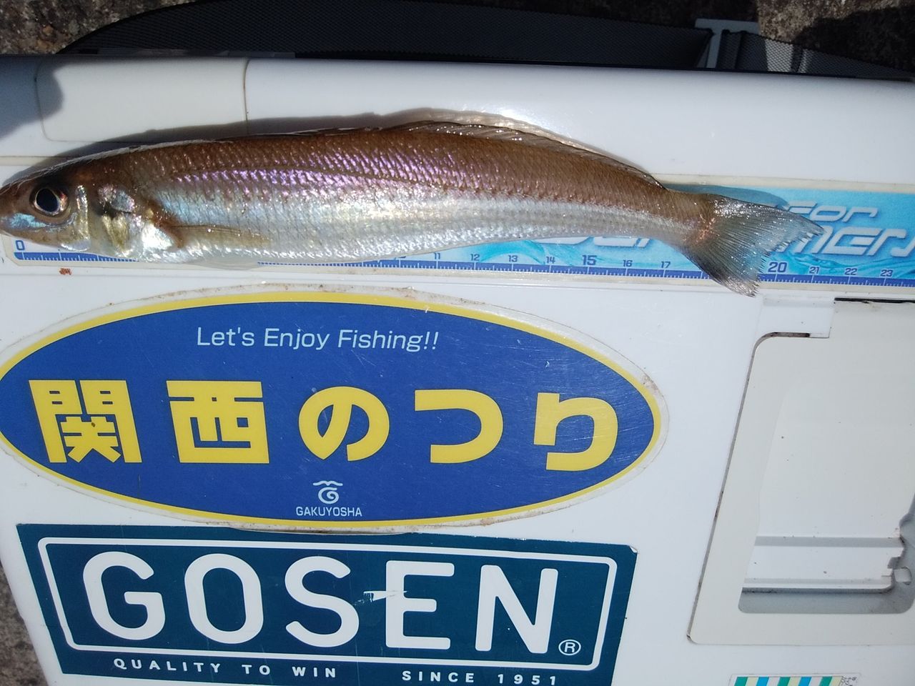 イメージ 4