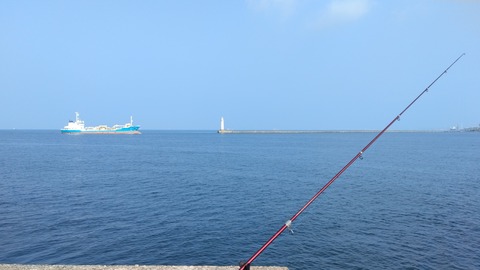 IMG_20250628_073327