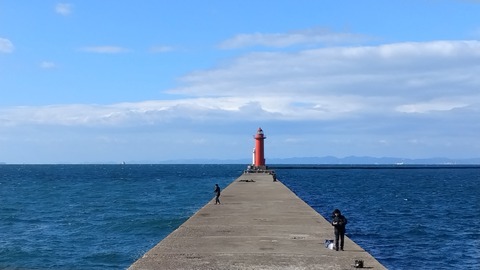 IMG_20231202_121150