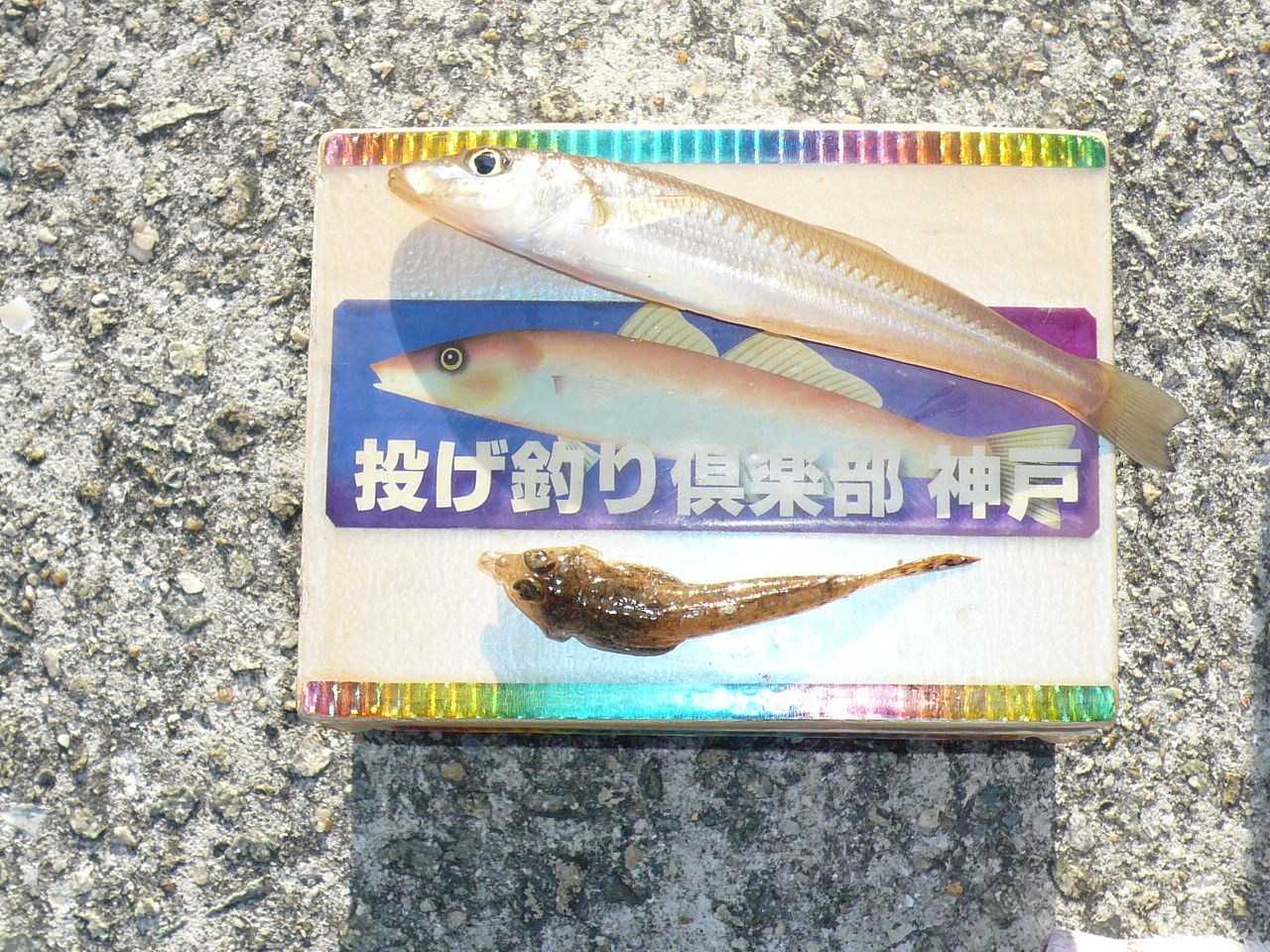 イメージ 1