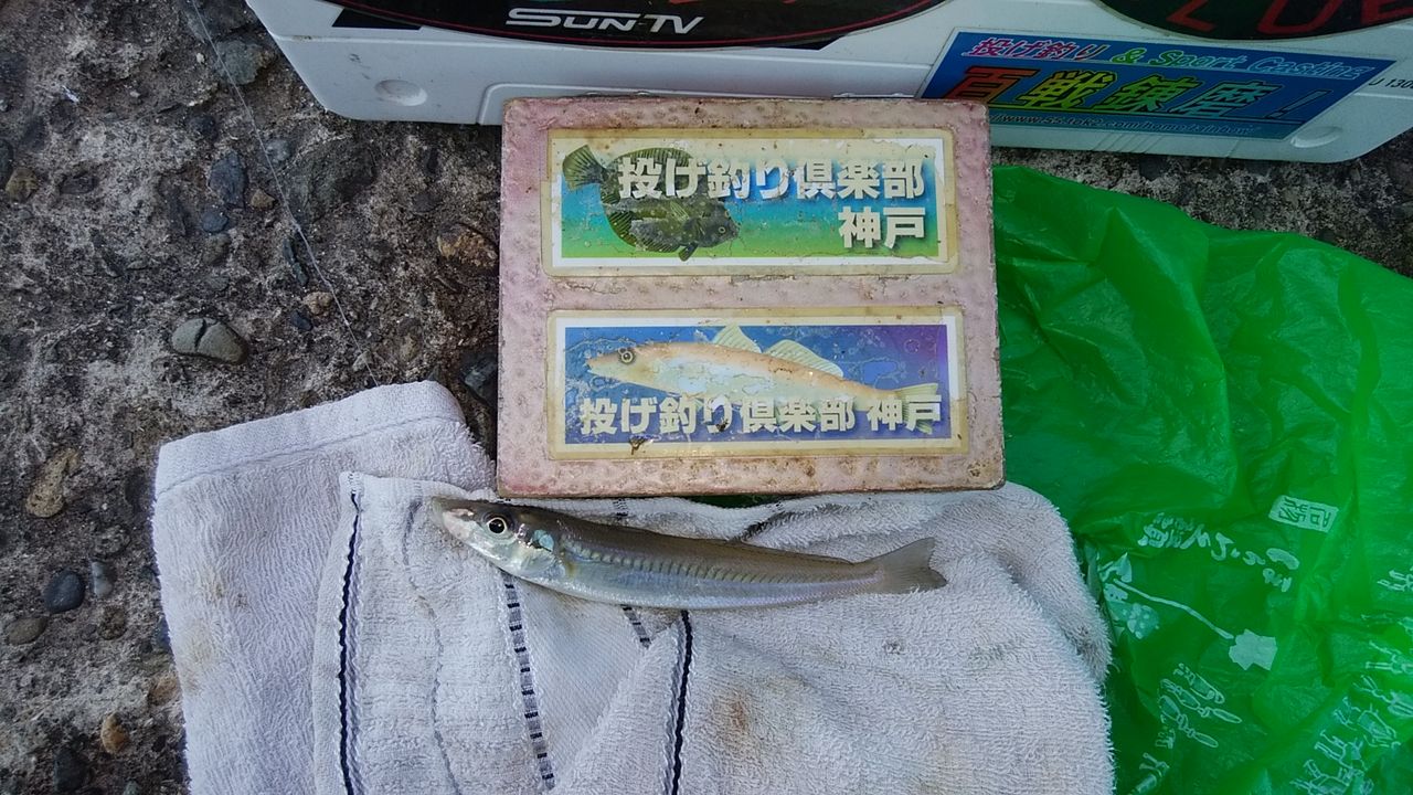 イメージ 7
