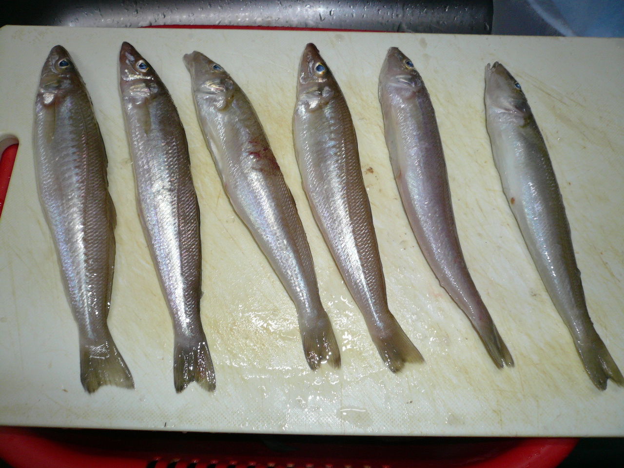 イメージ 6