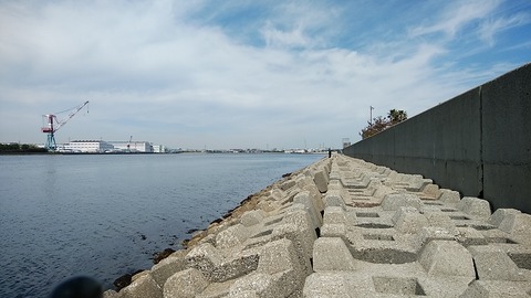 DSC_9572