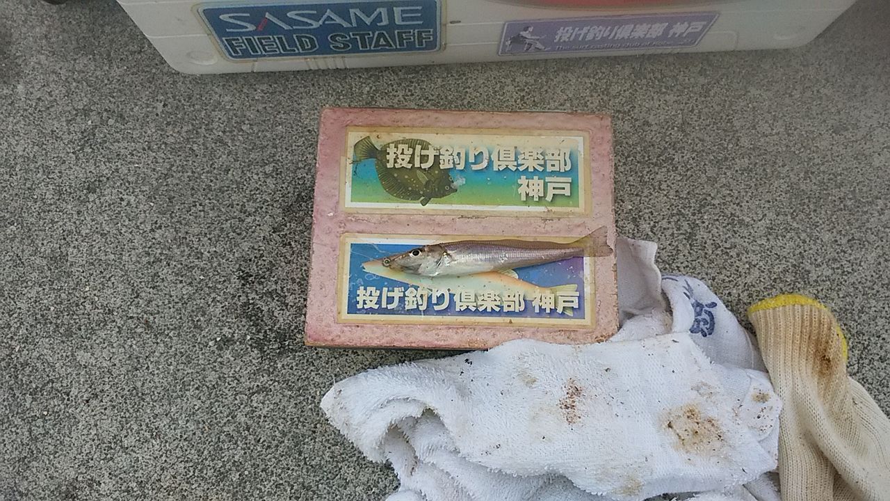 イメージ 1