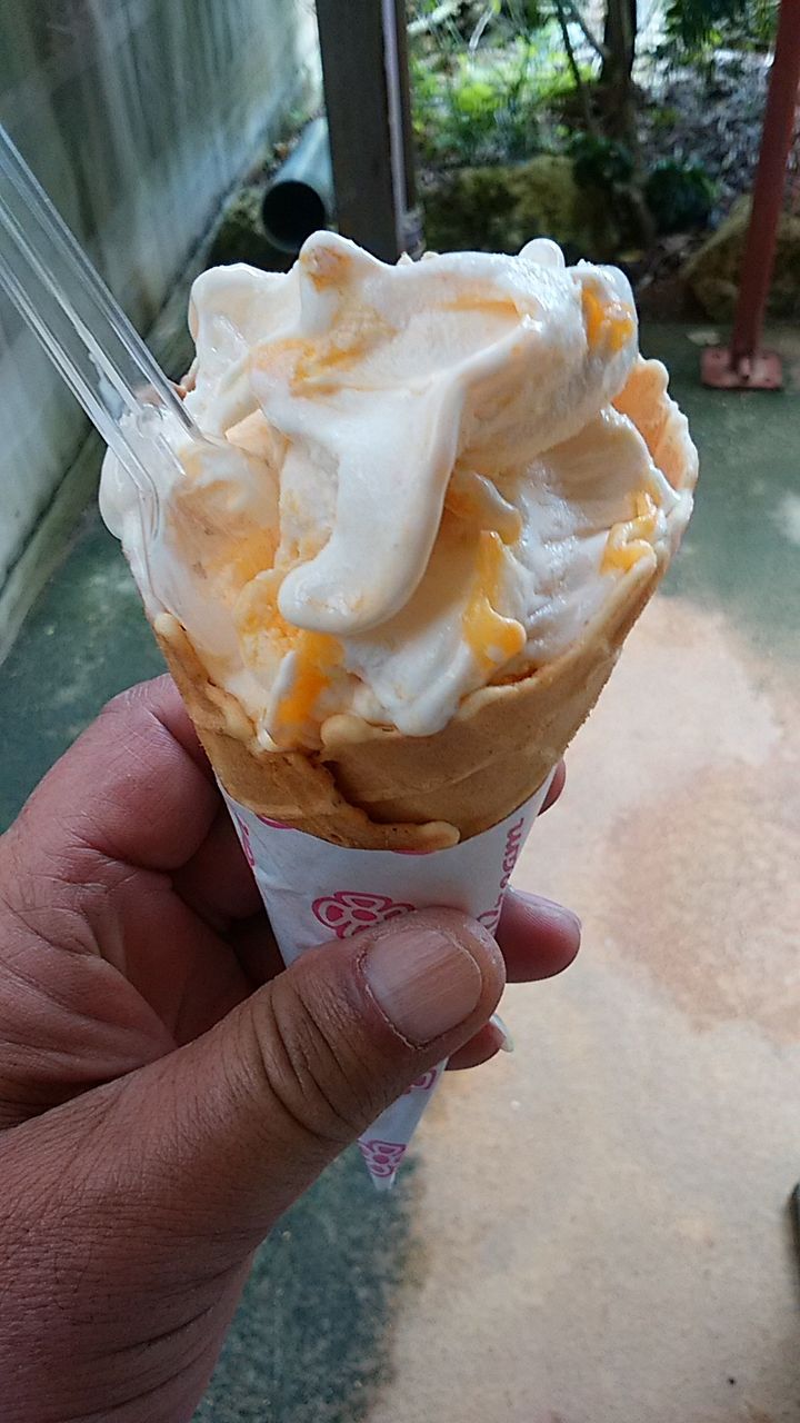 イメージ 10