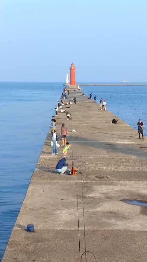 IMG_20250628_060043