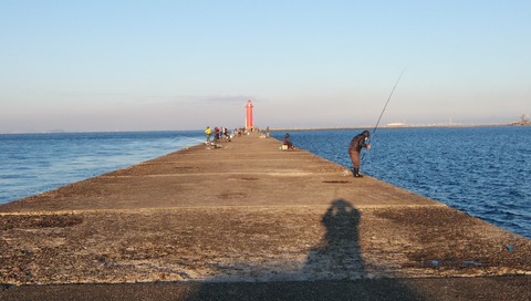 IMG_20221028_065822