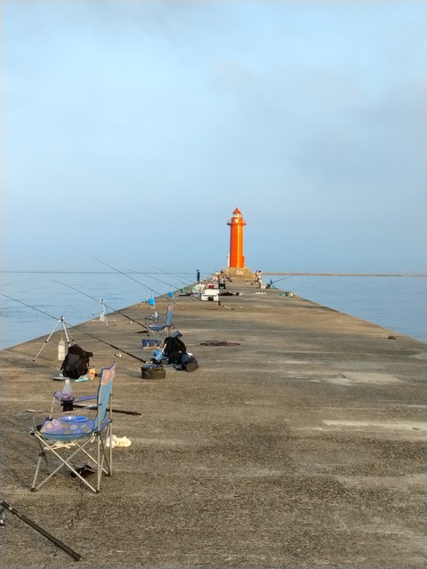 IMG_20240614_053201