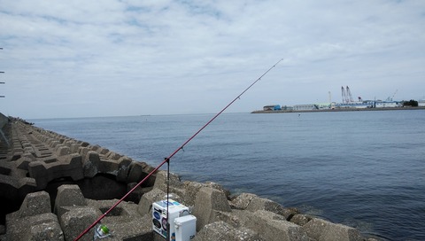 IMG_20230526_102307