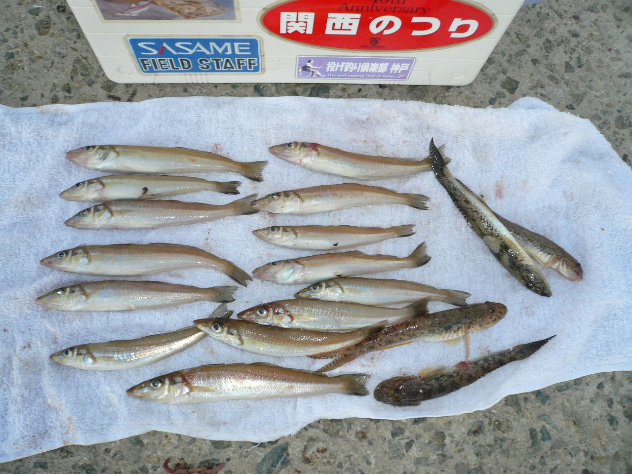 イメージ 4
