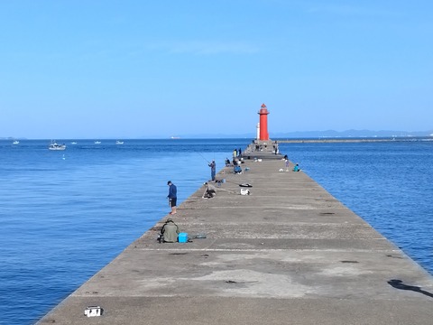 IMG_20240525_072604