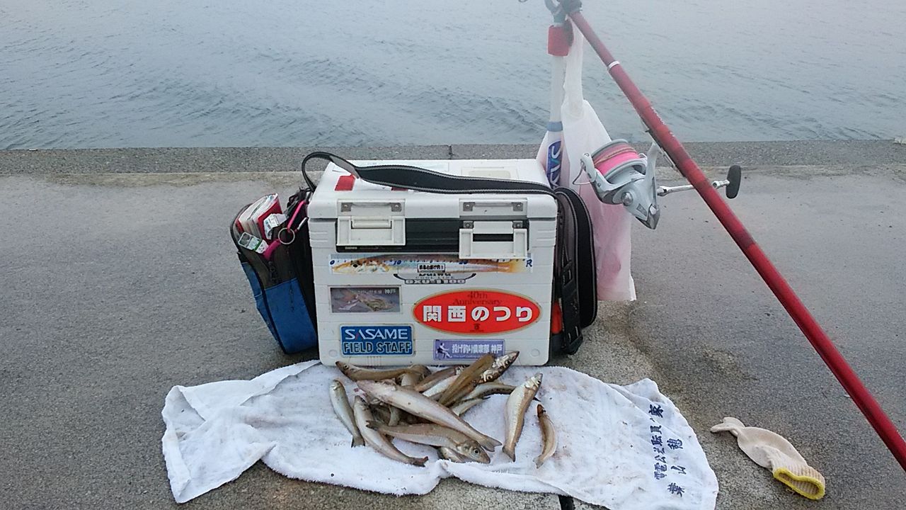 イメージ 5
