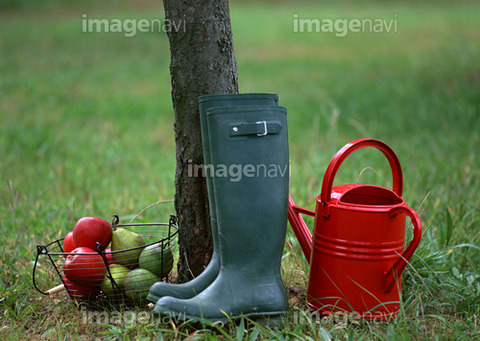 99056108-M-imagenavi