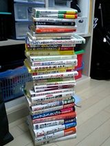 �ܤ�����2008ǯ1��