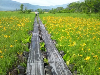 尾瀬ハイキング